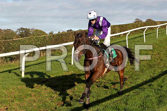 Gerannjo , Jockey P Townend - Fell - FT8E4464-e