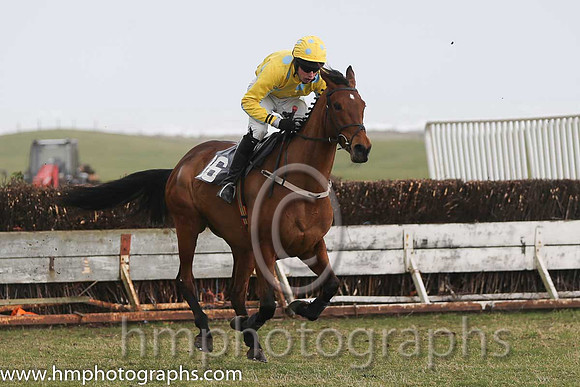 07th PU Super Scorpion ( 16 )  M J Lynch - Trainer: Mark L Fagan - yellow, blue spots