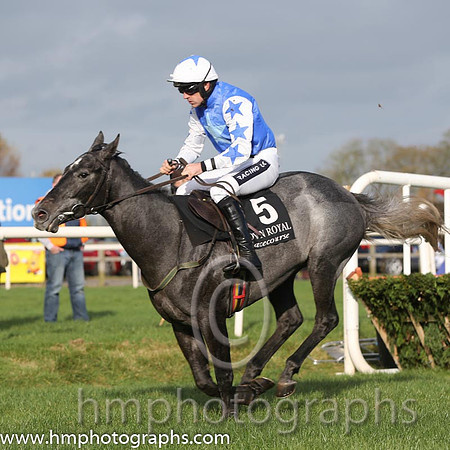 05 Tarabiyn and R Walsh - - 05th (5 ,royal blue, light blue star, white cap royal blue star ) Trainer - W P Mullins