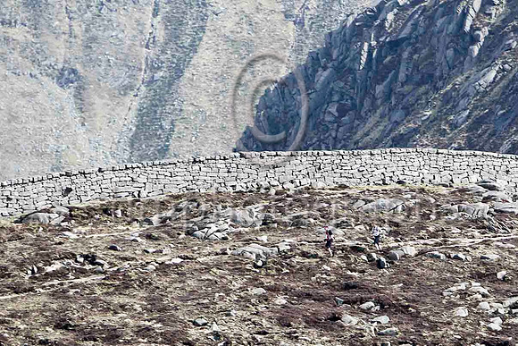 Mourne Wall - FT8E1942-e