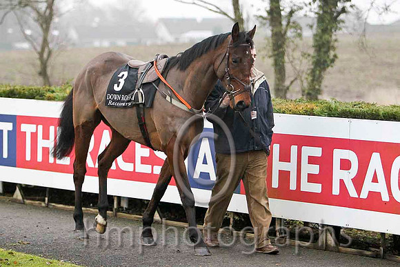 Lord Mark 8th, Jockey T C Carroll  - CU2D2122-e
