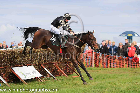 01st FINIAN'S OSCAR and J J Codd ( 14 ,black,beige panels ) Trainer: Denis Paul Murphy,, Owner : Edelle Logan