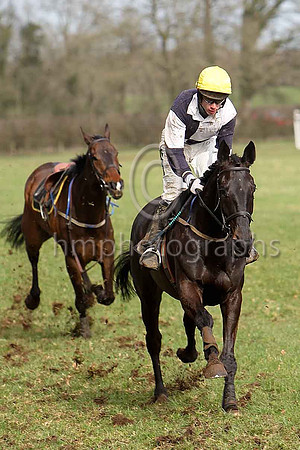 Fifth Race - Blackstaff 3rd - CU2D7145-e