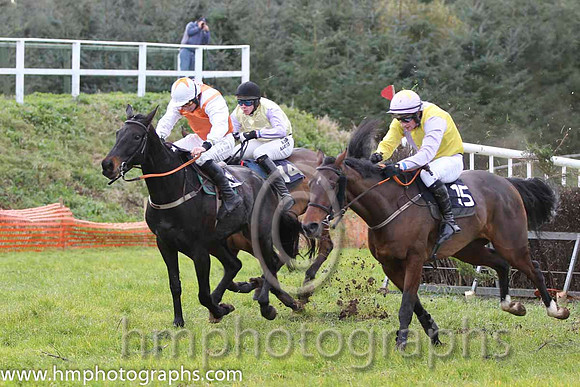 01 Whats Left & J J Codd - winner (16, white, red sash) & 02 Udo's Choice & D P Howard - 2nd (15, mauve and yellow halvd) - FT8E0875-41