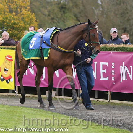 01 Road To Riches and P Carberry - - 01st (5 ,maroon, white star, white cap ) Trainer - N Meade
