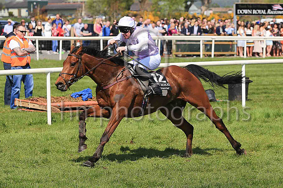 03rd King?s War and M F Mooney ( 12 , lavender ) Trainer - P Mooney , Owner - Helen M Mooney
