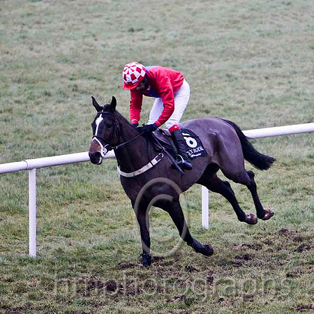 Cute N'willin 6th, Jockey Mr P Burke - CU2D2190-e