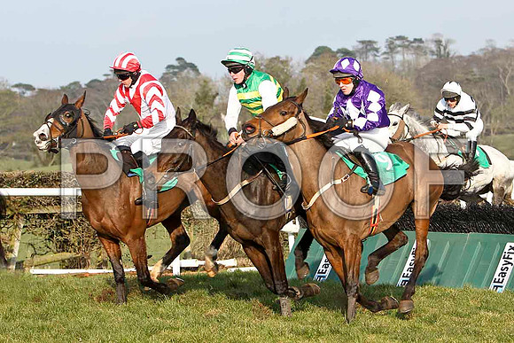 Endless Desire - 8th, Clara More - 4th , Dunroe Boy 7th & Akadyr - 3rd  - FT8E0473-e