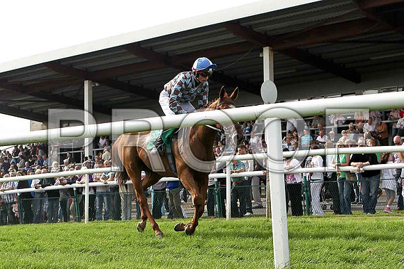 Andwhatever Else crosses the line in 9th place; Jockey J D Moore - FT8E3091-e