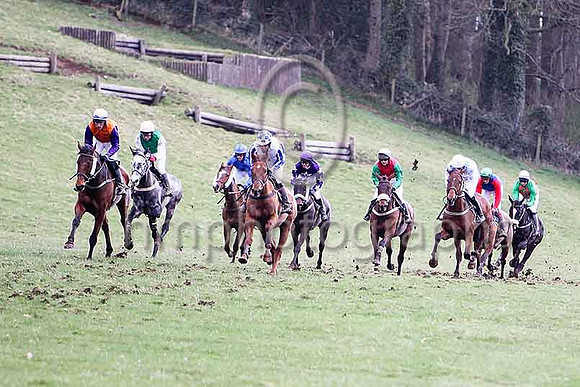 Sixth Race - Shanran in the lead, finished 3rd - CU2D7163-e2