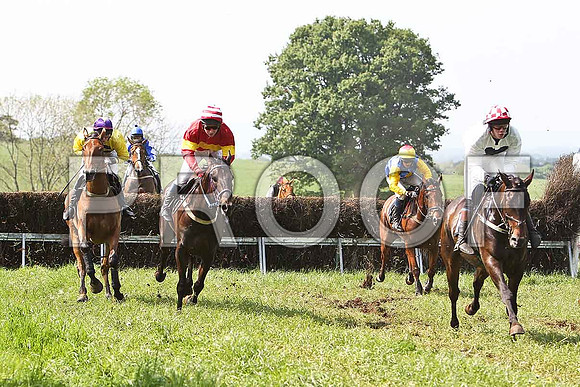 Third Race - OVer to the Butler (11) 5th , Rider W Thompson (red and white striped hat) - CU2D9580-e