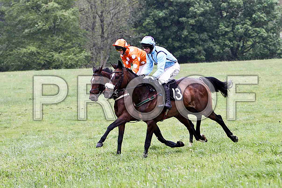 Nearly a Dream , 2nd, Jockey  - C Cullly & Lady Shirley , Winner, Jockey - Derek O'Connor - FT8E2635-e