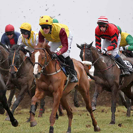 Prince of Forwards (Yellow & Maroon Sleeves) 6th, Jockey Andrew J McNamara - CU2D3221-e