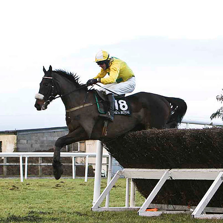 Dont Tell De Purty 11th, Jockey N J O'Shea -FT8E9987-e