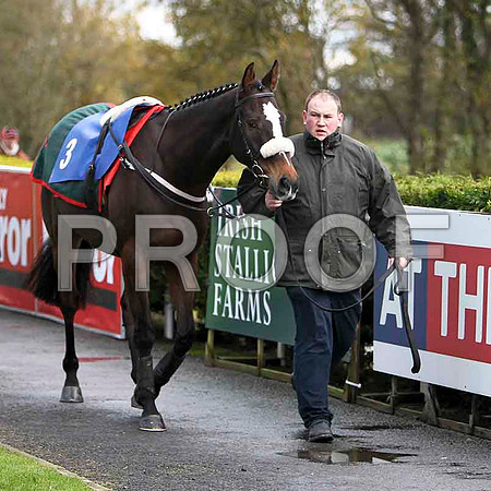 Roberto Goldback , Jockey B J Geraghty - 2nd - CU2D1161-e