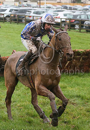 "04th Incitatum ( 7 , white, royal blue panel ) and C.D. Maxwell (3) - Trainer : William George Rankin - Owner : Thunder & Lightning Syndicate - AA1V2529-e