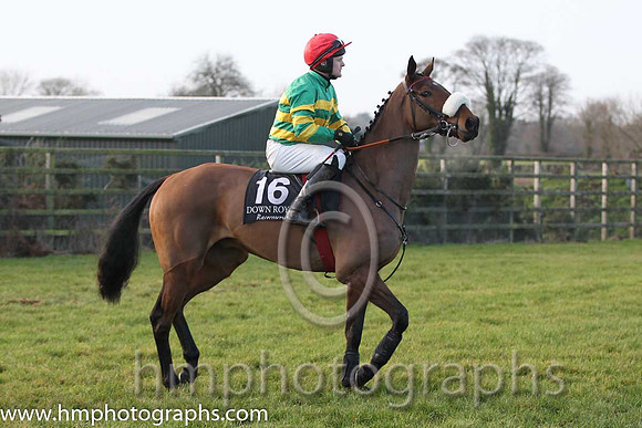 01 Roll It Out & R P McNally - winners (16, emerald green and orange hooped ) - FT8E1820-46