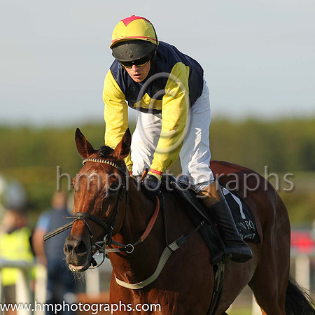 PU Curious Times and P.J. Carberry (7 ,blue, yellow diamond ), Trainer:S.R.B. Crawford , Owner:Mrs P Sloan