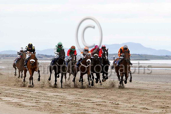 Racing on the beach at Laytown  - FT8E4133-e