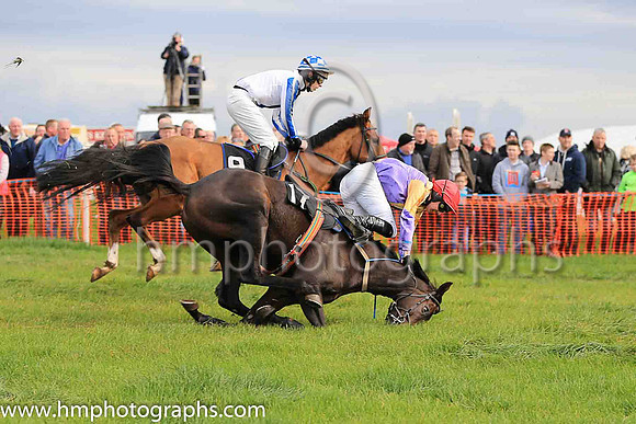 DANCE THE RAPIDS and A J Fox ( 17 , PURPLE,yellow diabolo; purple  yellow hlvd sleeves; purple cap ) Trainer: Adrian McGuinness,, Owner : Joseph Kenny