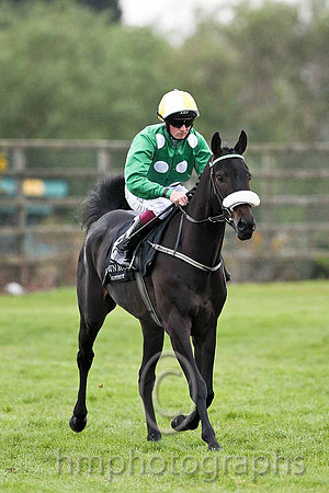 R7 - Torrhai Beachta 10th, Jockey C D Hayes - FT8E0587-e