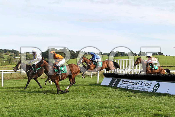 Ameno 7th, Jockey S W Jackson , Unico 4th, Jockey A P Thornton & Gettysburg 11th , Jockey E J O'Connell - FT8E3101-e