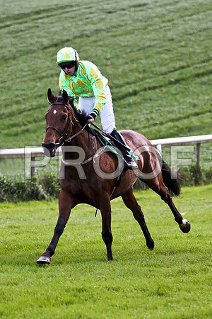 Tulla Emerald , 3rd, Jockey - D J Bates - FT8E2887-e