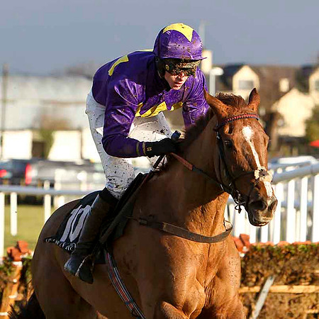Tresilian 12th, Jockey E Mullins - FT8E9937-e