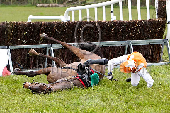 Baba Black Sheep (18) & B O Walsh - FFT8E1712-e