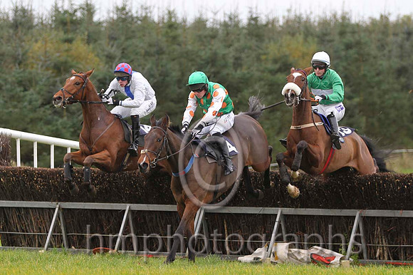 11 Seacon Beg & W Thompson - PU (14, white, blue panel), 10 Go Conquer & B O'Neill - Fell (4, emerald green, orange spots) & 06 OneHellOfANiceGuy & David Joseph O'Leary - 6th (13, emerald green, white