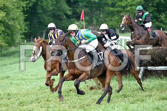 Race 6 Div 1 -Tanzad (28) 4th, Rider B O'Neill, Belfry Boy (3) 7th, Macroger (17) 3rd, Rider D A Fitzsimmons  , Rider R M Johnson &  Alexandras Boy 91) PU, Rider D A Treacy- CU2D9756-e