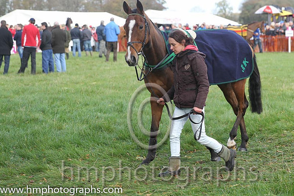 Parade ring Loughanmoore P2P