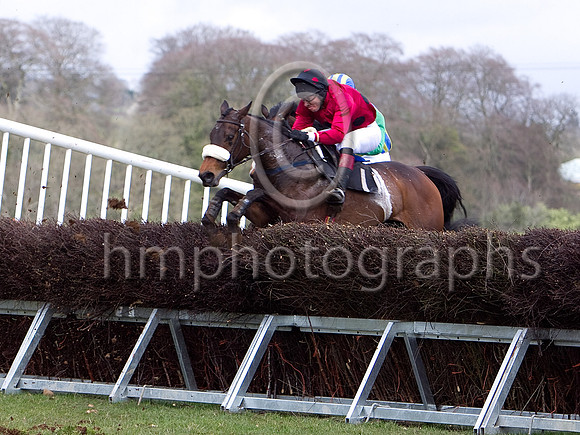 Second Race - Hop Sally PU jockey TB White - CU2D7072-e3a4j