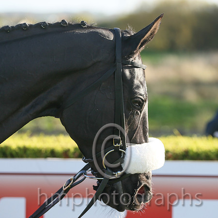 Don Cossack - AA1V0323
