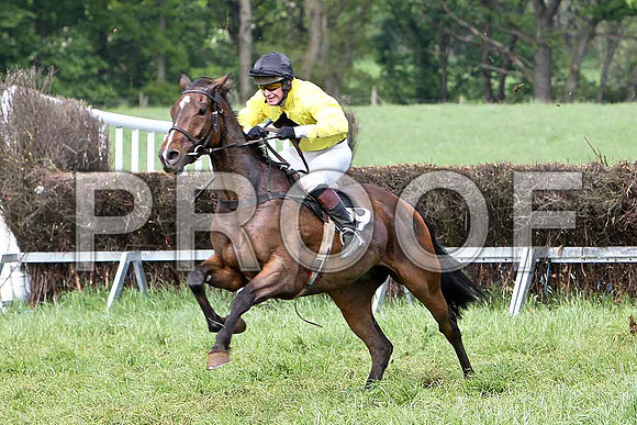 Fifth Race Div 2 - Top Gal (39) 4th, Rider M J Henry - CU2D9704-e
