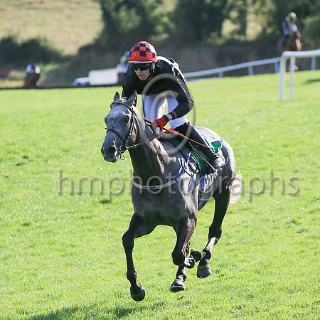 Dollar Value (2, black, black and red check cap) winners of Race 7 The DH Handicap Steeplechase.
