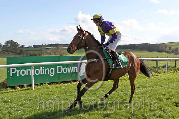 The Amarillo Kid & P Townend - Winner (3, purple and yellow quartered) - CU2D2258-e