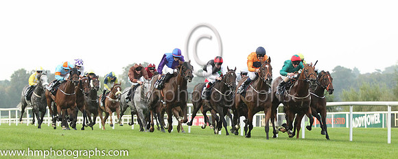 01 Baraweez and C O'Conoghue - - 01st (12 ,orange, dark blue disc ) Trainer - B Ellison