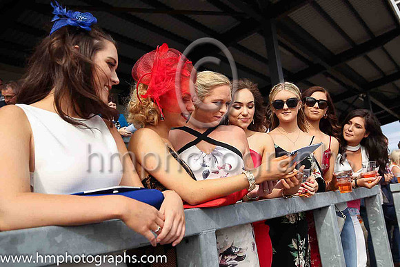 Spectators study form at Downpatrick Racecourse ladies Day