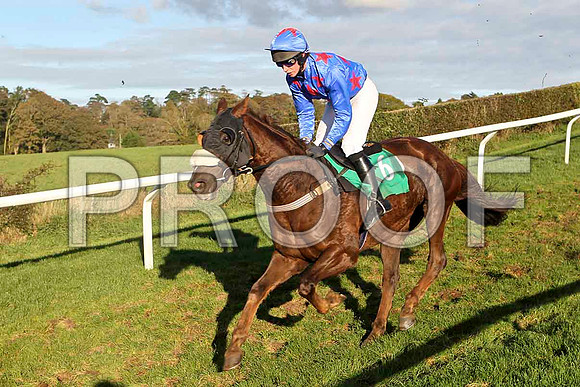 Ashfield Present - Jockey Mr P N O'Brien - PU - FT8E4463-e