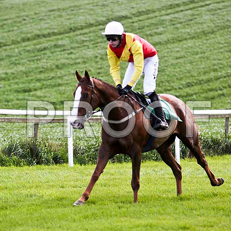 Bachelor Lad , Winner , Jockey Andrew J McNamara - FT8E2881-e