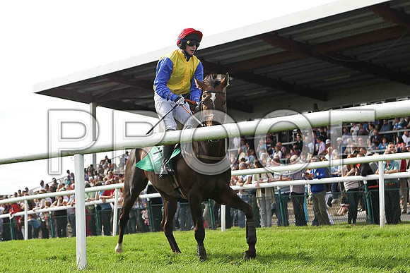 High Talk crosses the line in 7th place,  Jockey L McNiff - FT8E3085-e