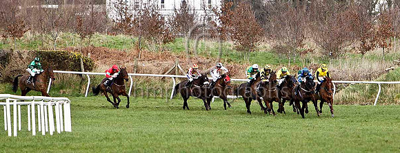 Vardas Supreme & D J Bates 2nd  & Hidden Present & D R Dalton 3rd  in the lead at Down Royal - FT8E9124-e
