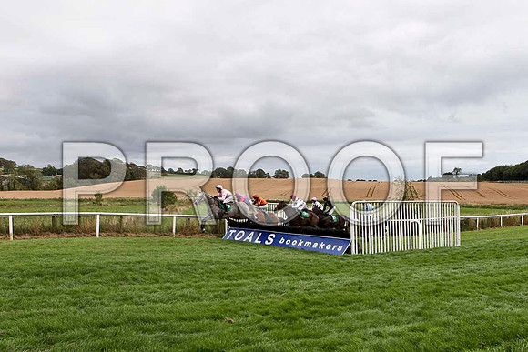 Kilrush - 2nd , Jockey R M Power - in the lead - IMG_9490-e