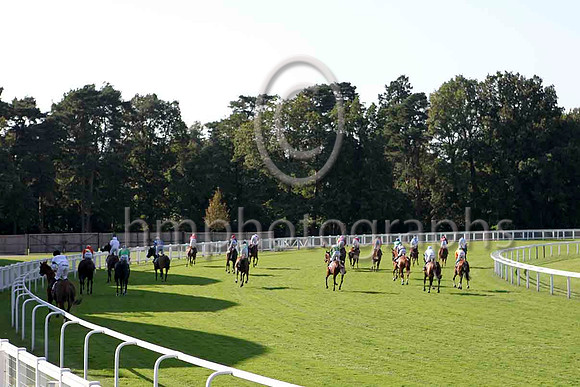 Ascot Race 6 at Betfair weekend - IMG_0011-e