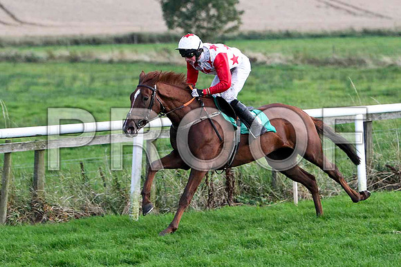 Bridgets Pet - Winner -FT8E5087-e