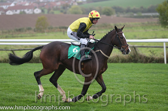 07 LottoLove and P T Enright - PU - 07th (6 ,Yellow, black sleeves ) Trainer - Ms O'Connell