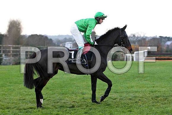 Clarkey 10th - Jockey Mr P Roche - CU2D0786-e