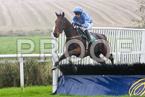 Slivegullion Girl , 11th - Jockey J L Cullen - FT8E5247-e