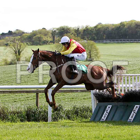 Bachelor Lad, winner, Jockey Andrew McNamara - FT8E2860-e2